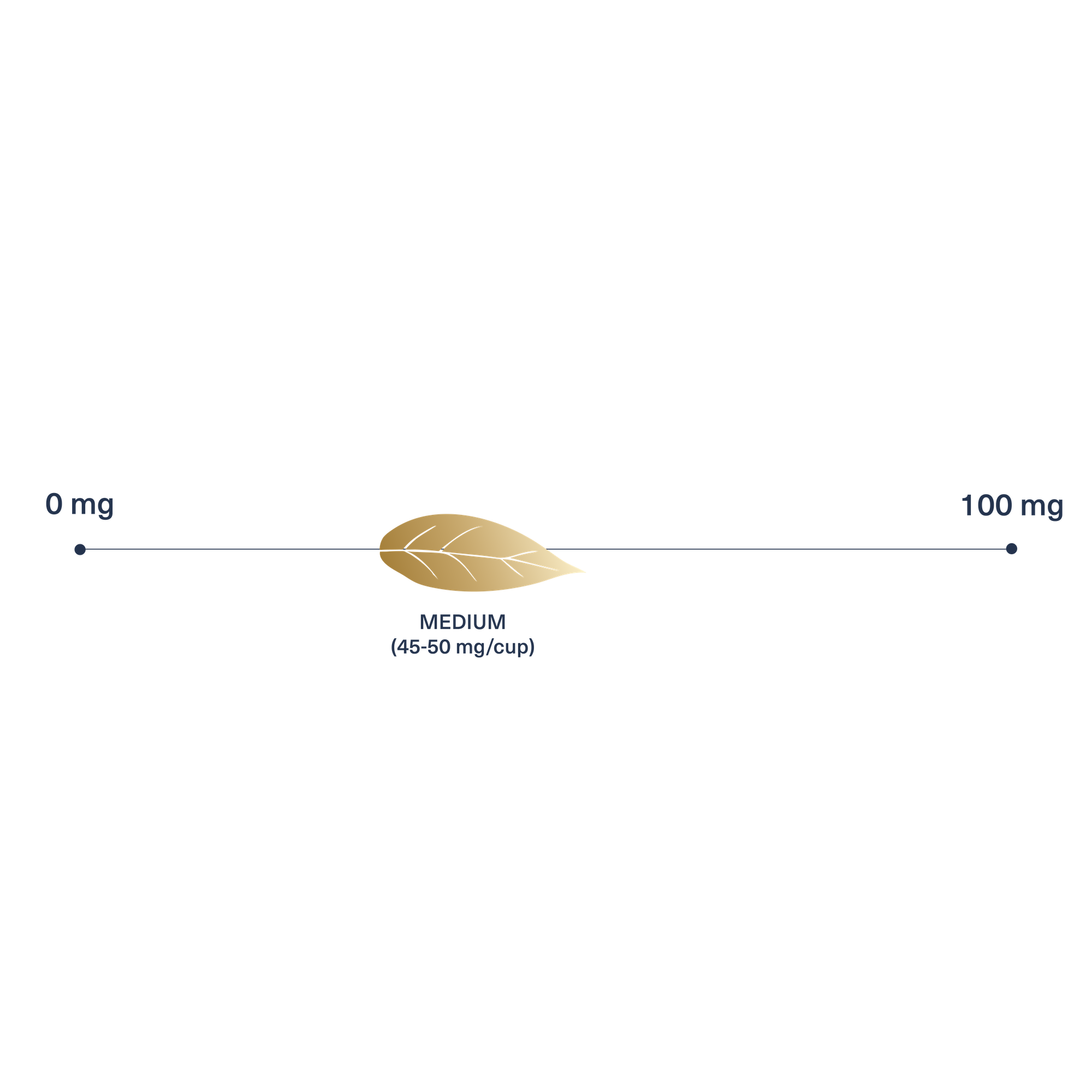 Chai_Box_Caffeine_Levels_Medium_e8bc6794-734a-47f7-ac34-c85f4a00b6de.png