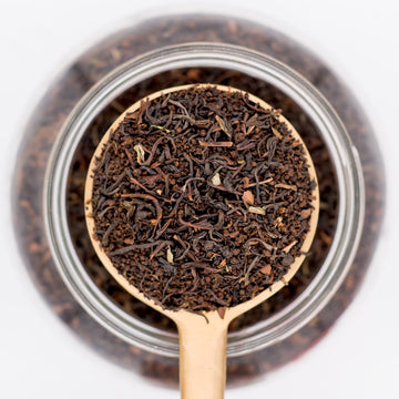 Scoop of True Blend loose leaf tea blend. Made with a mixture of Darjeeling, Assam, and Orange Pekoe teas. 