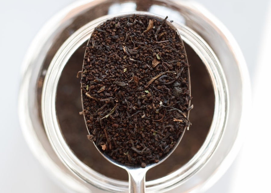 Scoop of True Blend loose leaf tea blend. Made with a mixture of Darjeeling, Assam, and Orange Pekoe teas.